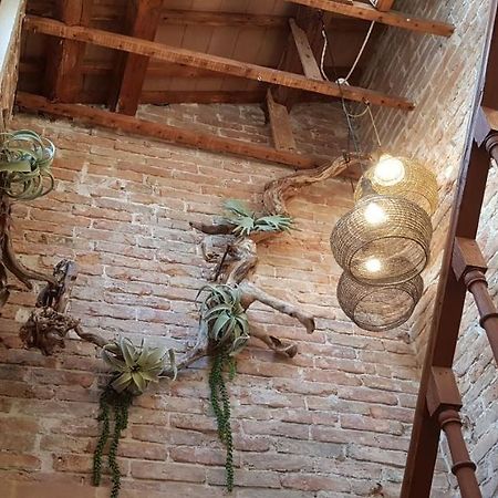 Maison Du Flaneur Чоджия Екстериор снимка