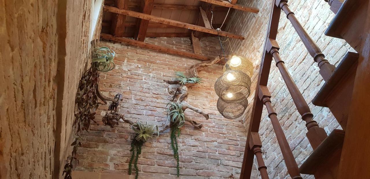 Maison Du Flaneur Чоджия Екстериор снимка